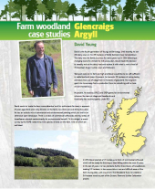 Farm Woodland Case Studies: Glencraigs