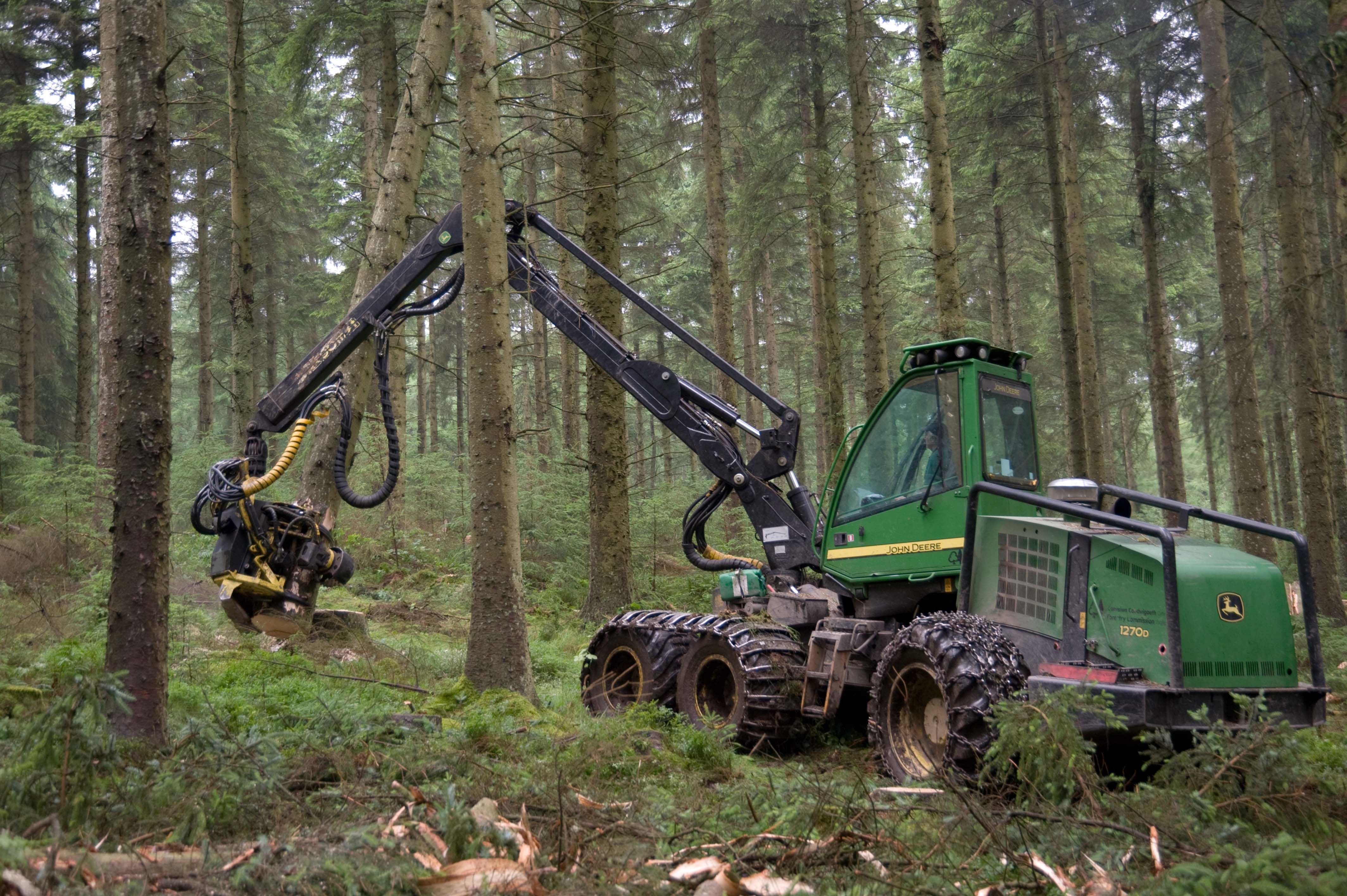 Forestry Jobs Summit a “catalyst for job opportunities” says Ewing