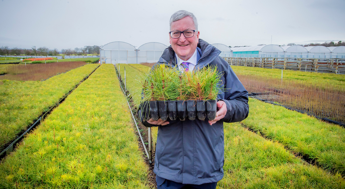 Cash boost to grow tree nurseries