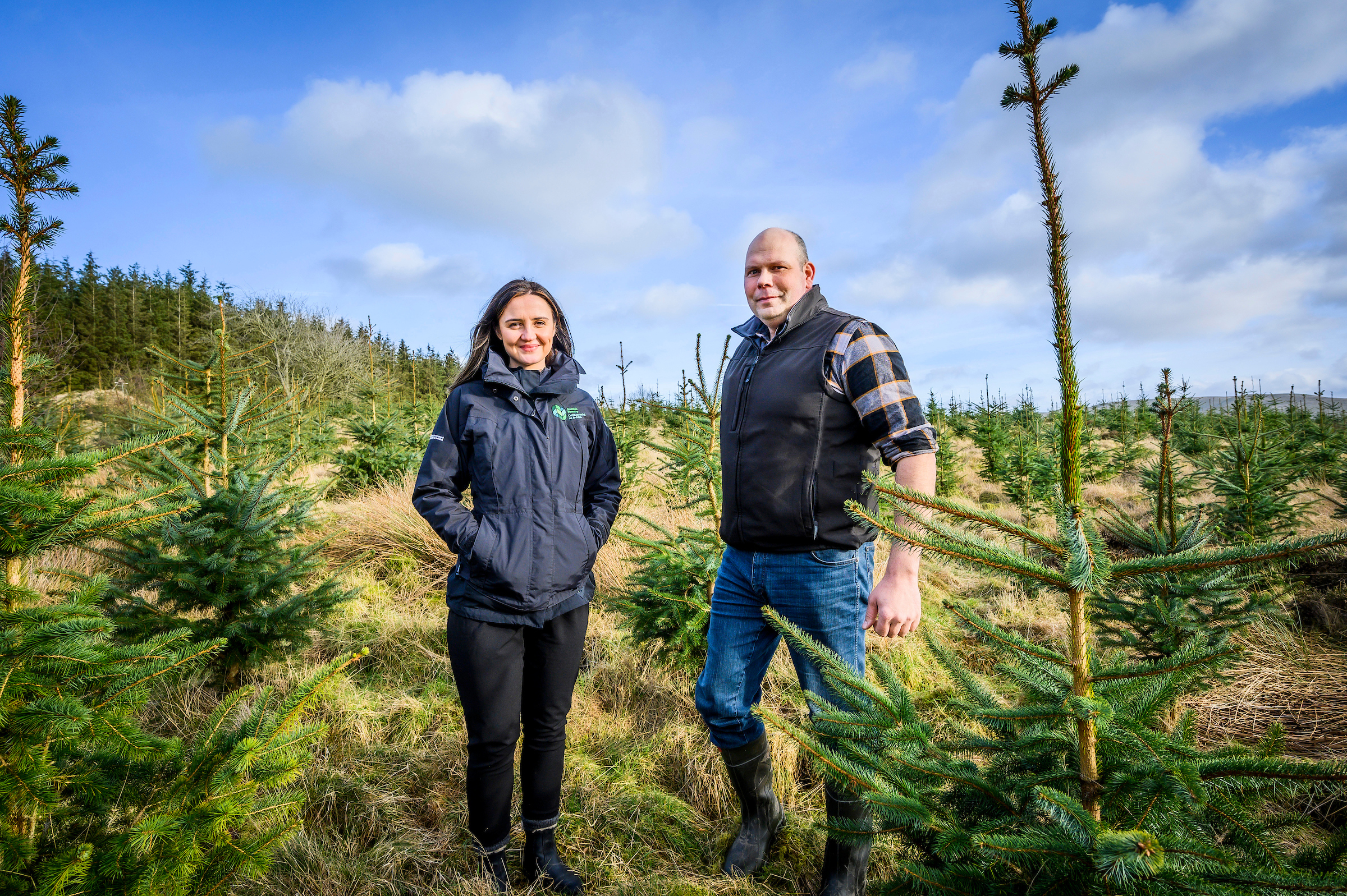 Views sought on Scotland’s forestry grants