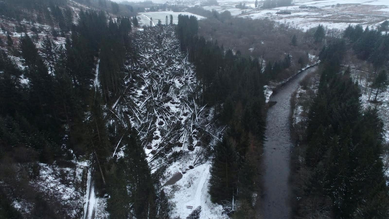 Forest industries working together to recover from Storm Arwen