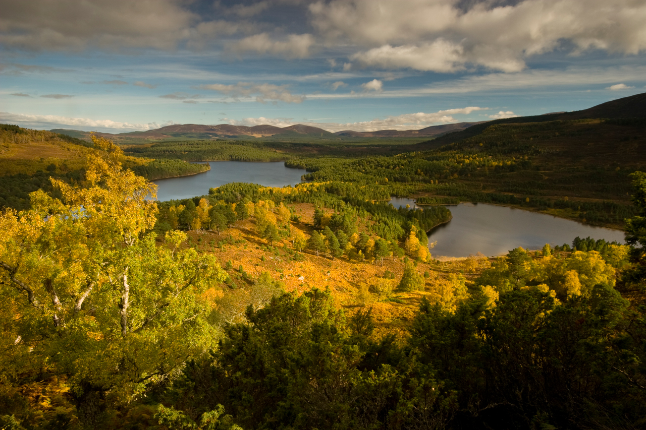 Scotland showing leadership on climate forests