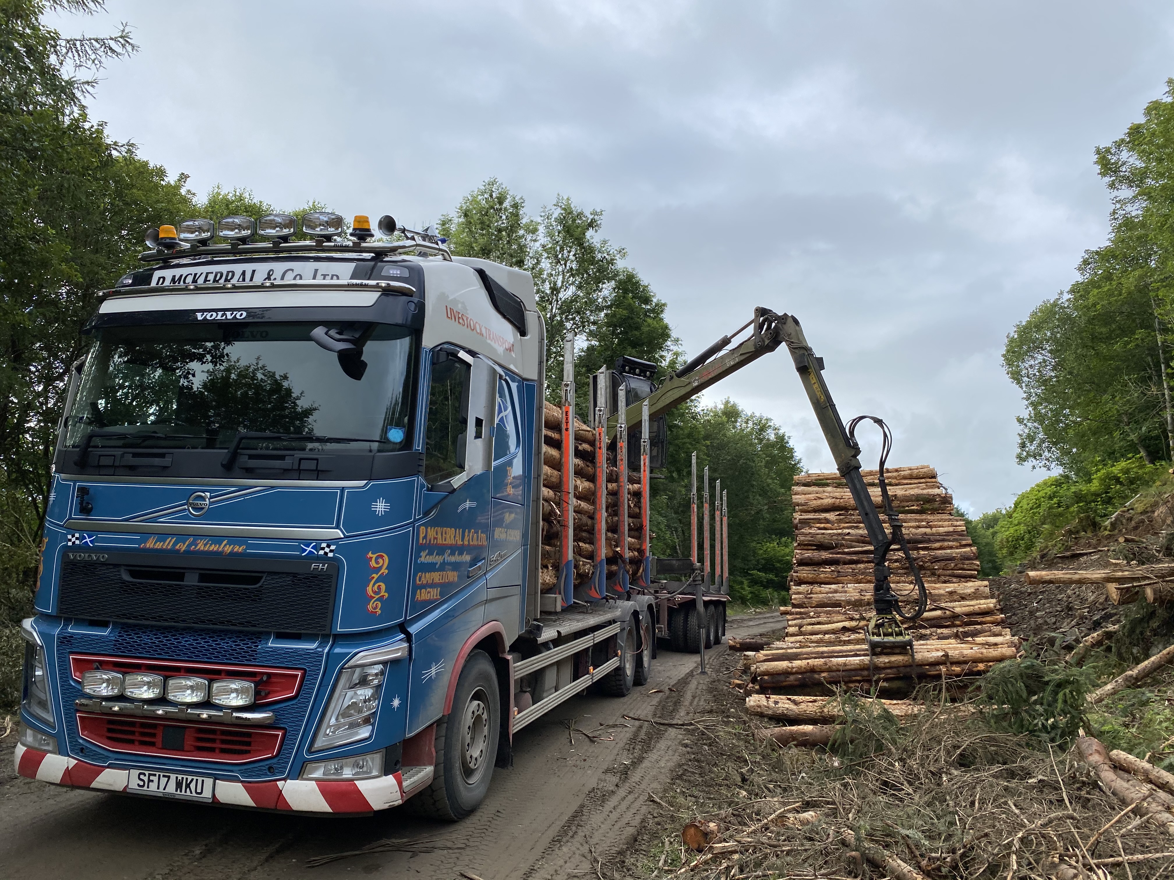 £7 million for timber transport projects