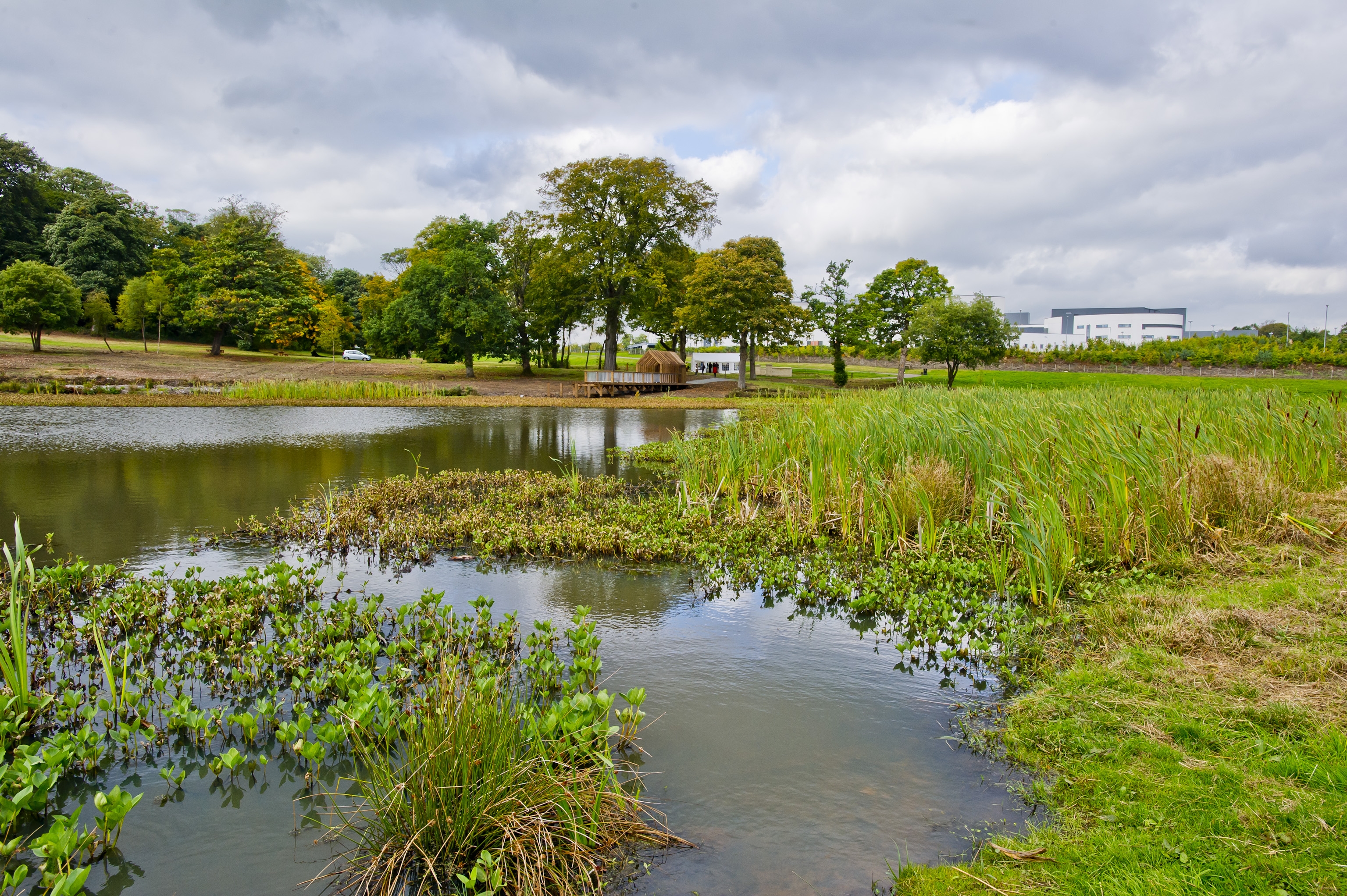 Blog: NHS Greenspace for health and wellbeing