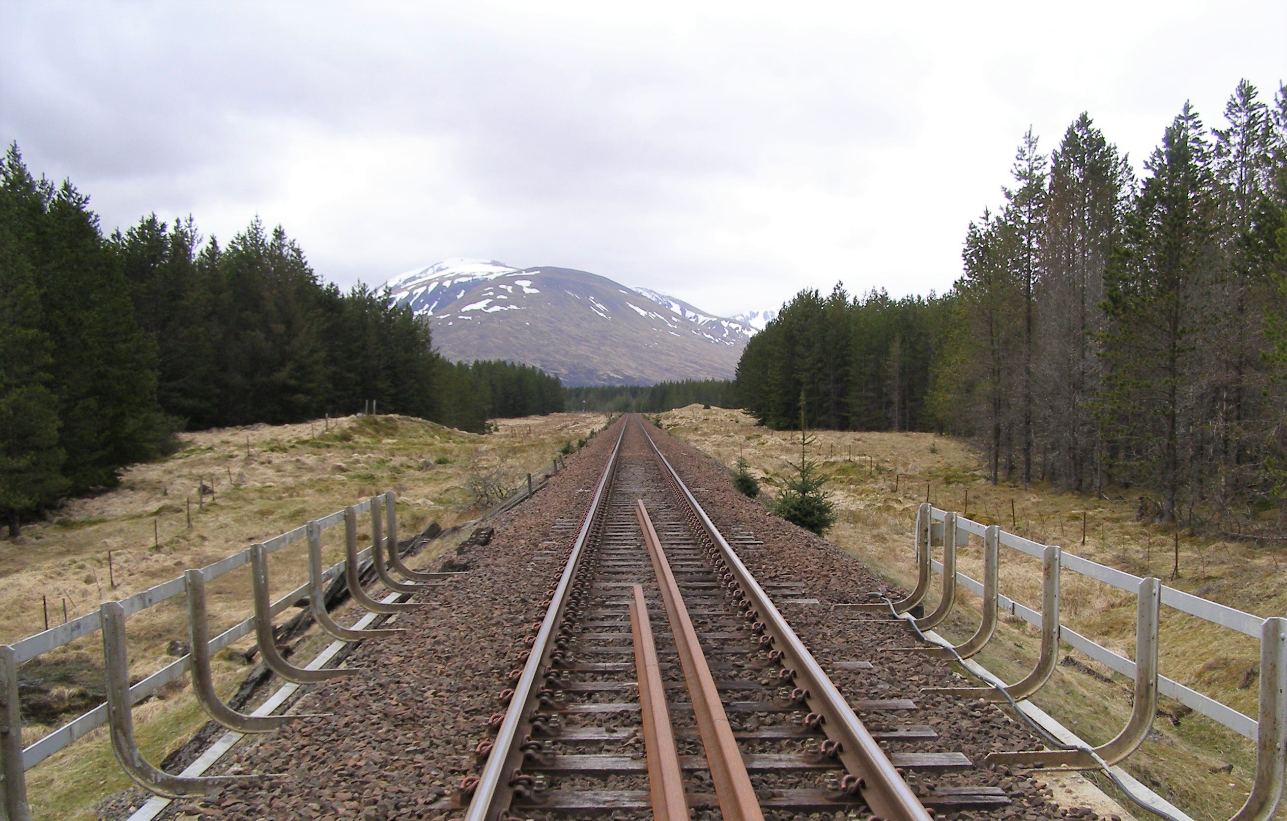 Rannoch timber rail project “on track” says Ewing