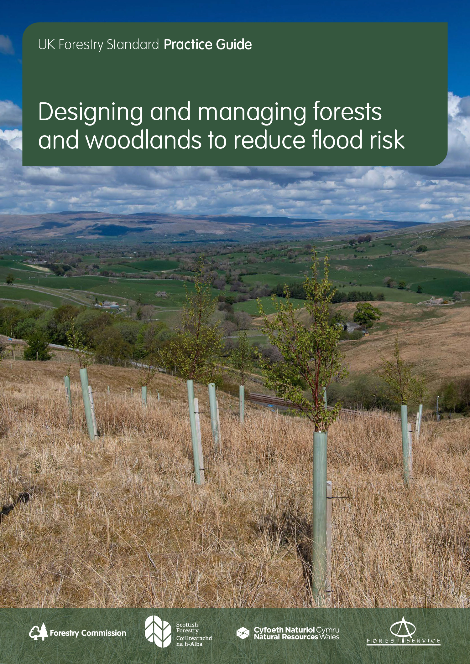 Using trees to combat flooding – new guidance