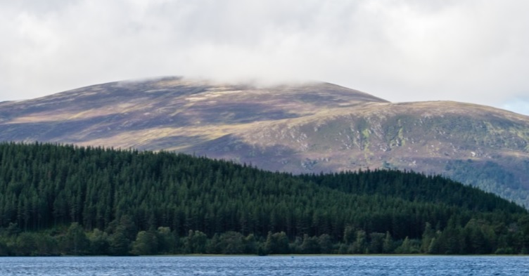 View of loch, forest and sky