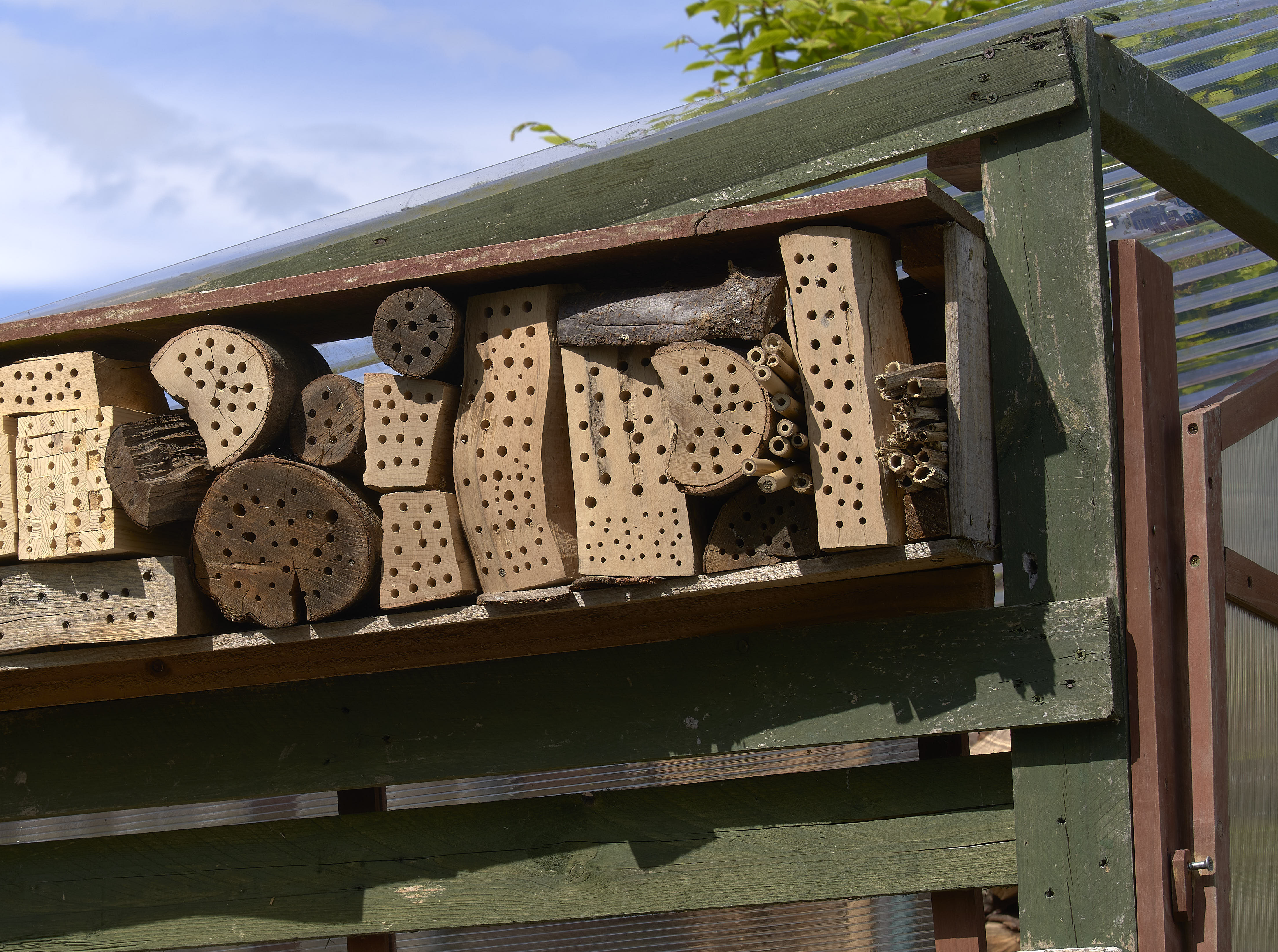 Blog: It’s easy to build your own bee hotel