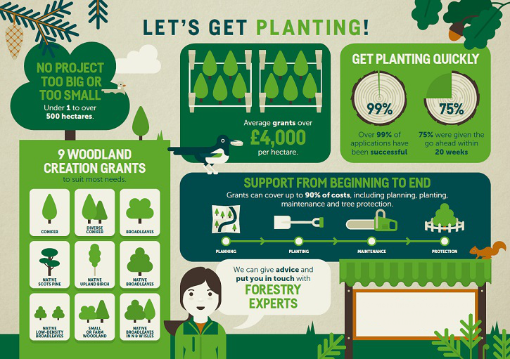 woodland creation funding infographic