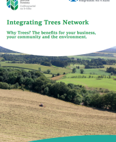 Why Trees? The benefits for your business, your community and the environment