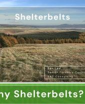 Why Shelterbelts?