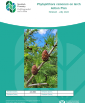 Scottish Forestry Phytophthora ramorum Action Plan